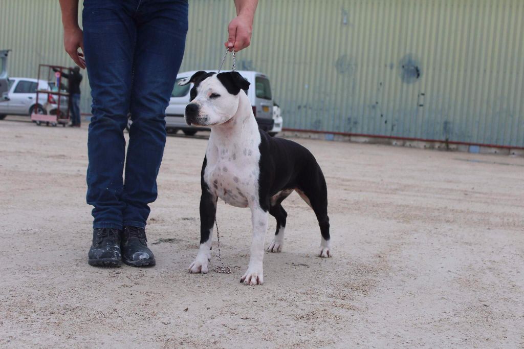 Kaly's Step - NAYA DEVIENT JEUNE CHAMPIONNE DE MONACO !